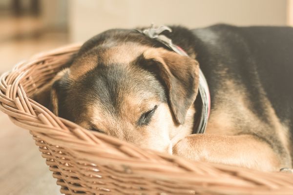 4 actions pour réduire l'apnée du sommeil!