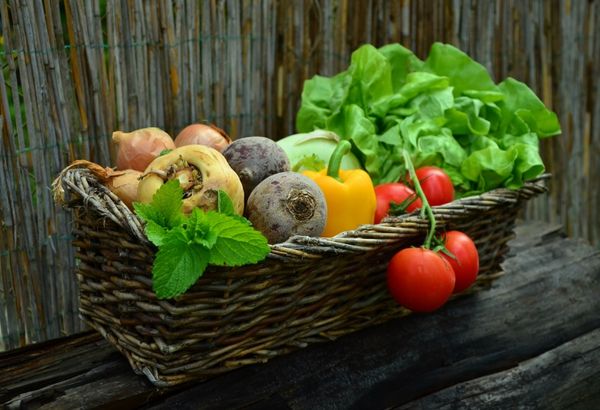 Quelle source de Calcium est la meilleure et la plus absorbée?