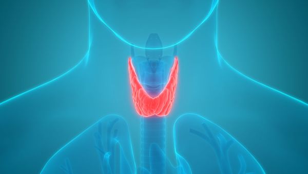 4 suppléments pour la glande thyroïde