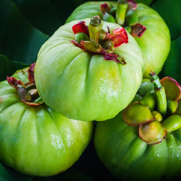 Témoignage sur l'escroquerie du Garcinia Cambogia.