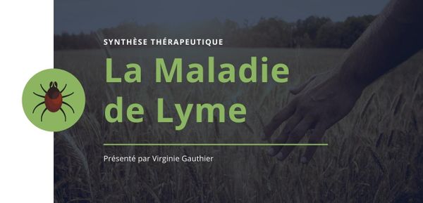 Maladie de Lyme : symptômes, définition et prévention